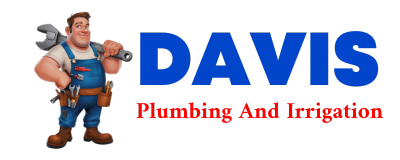 Trusted plumber in DAVISON